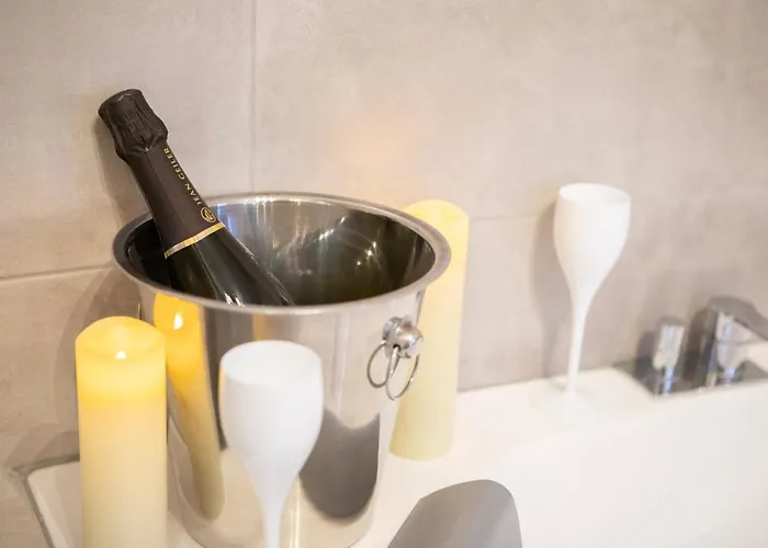 Colmarappart Vauban Avec 科尔马