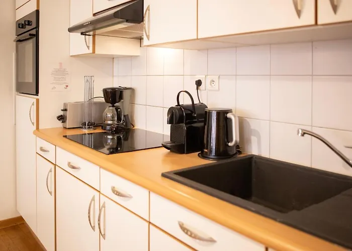 Colmarappart Vauban Avec 科尔马