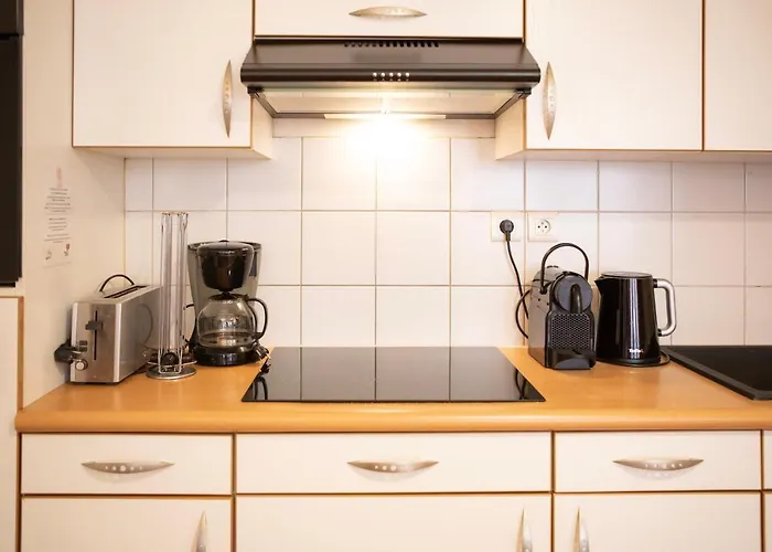 Colmarappart Vauban Avec 科尔马