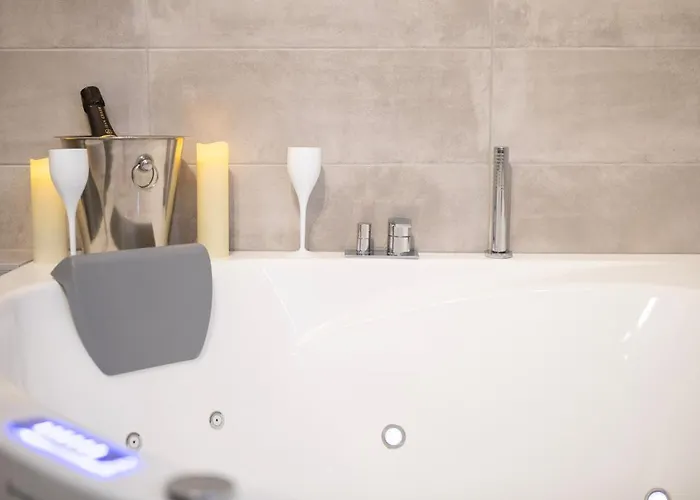 Colmarappart Vauban Avec * 科尔马