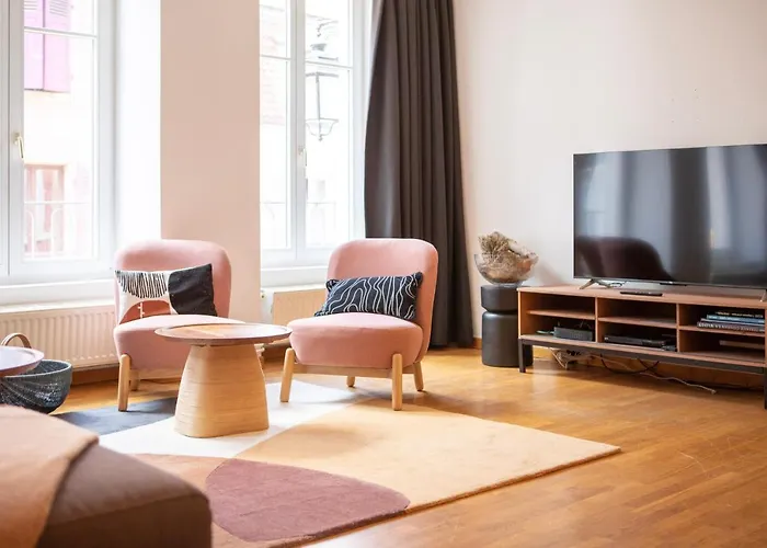 Colmarappart Vauban Avec 公寓 科尔马