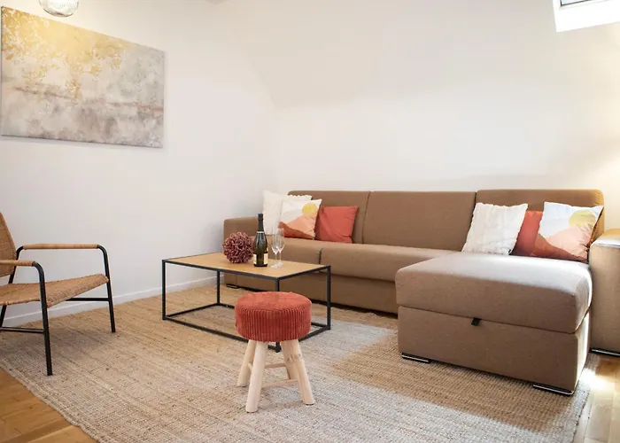 Colmarappart Vauban Avec * 科尔马